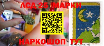 твердый Бердск