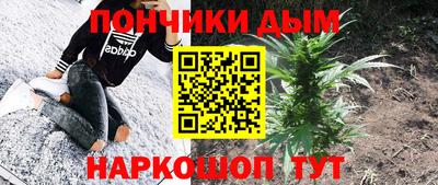твердый Бердск
