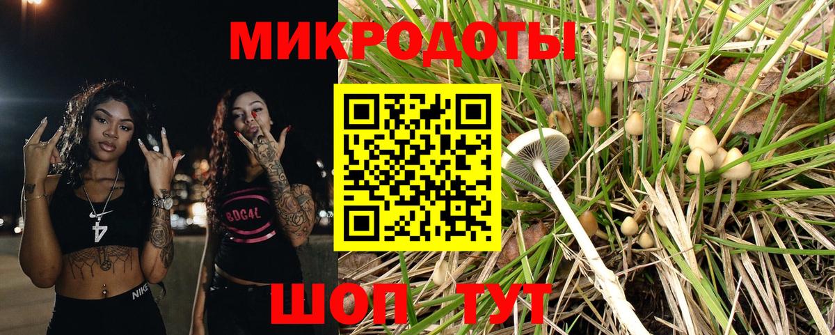 Псилоцибиновые грибы GOLDEN TEACHER  Вход с VPN  Обь 